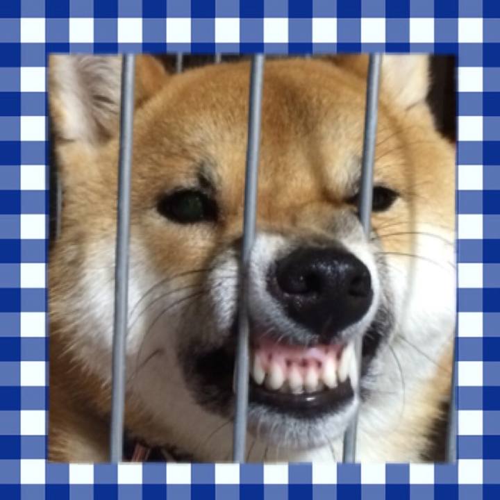 F796f8a1 9c25 438a bdc1 1f2936164cd2