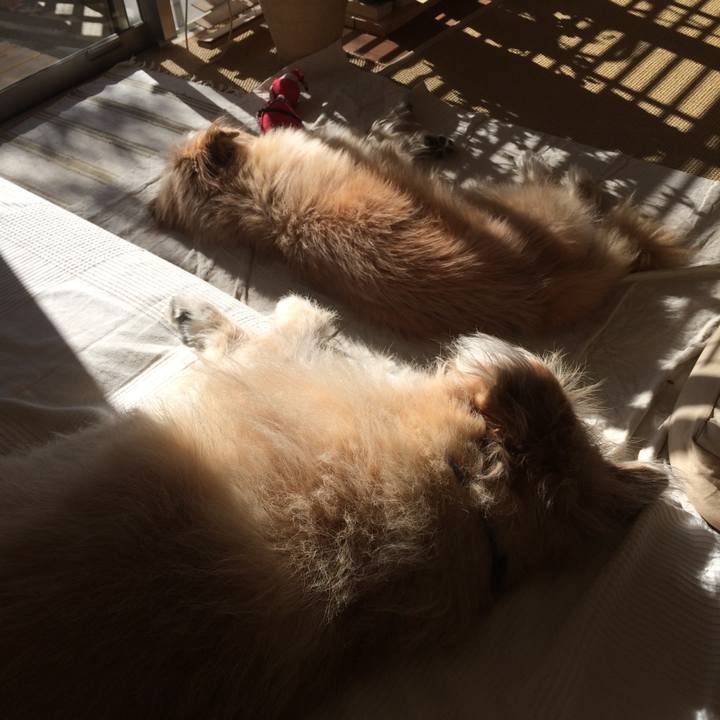 F797238b c96b 4561 8b65 9cd8f1946af6