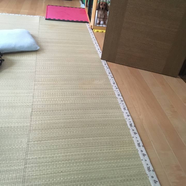 F7975a79 9c1b 4503 b40e 2cc60c2e3b00