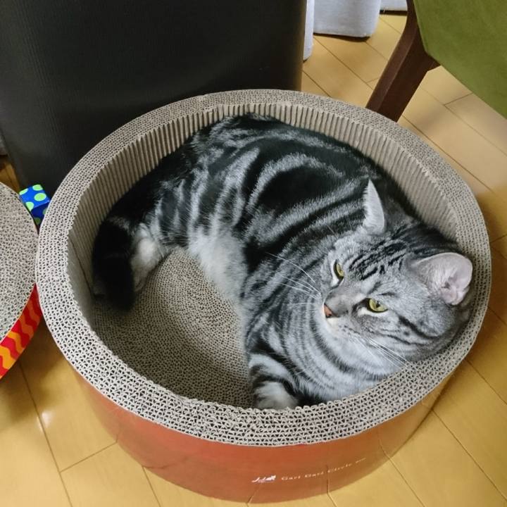 F7979fd6 3564 41b1 9813 7aa4fd4b0058