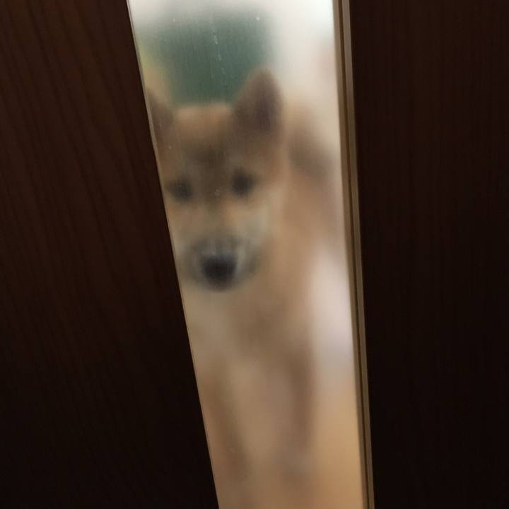 F7982c72 289a 467f b912 98baf6b393db