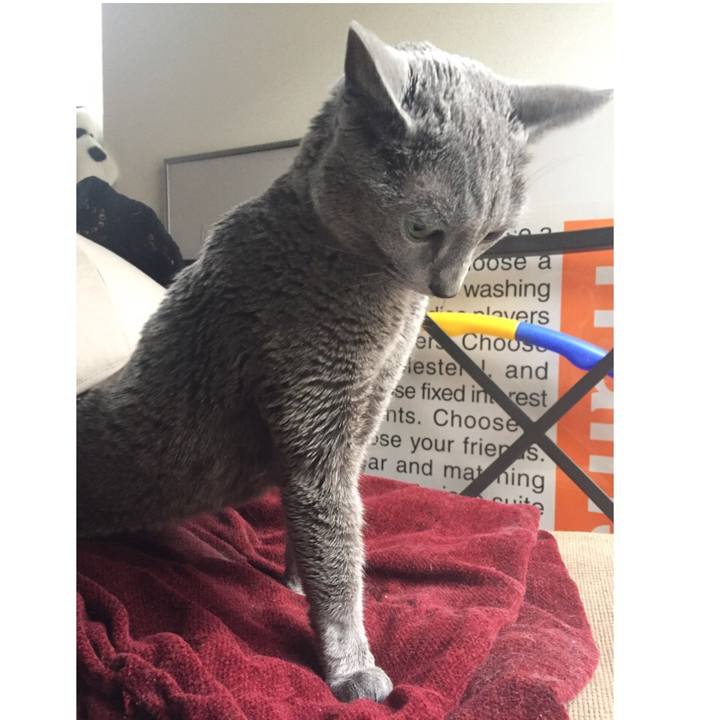 F798b189 ff3b 4202 b35d 09436d000079