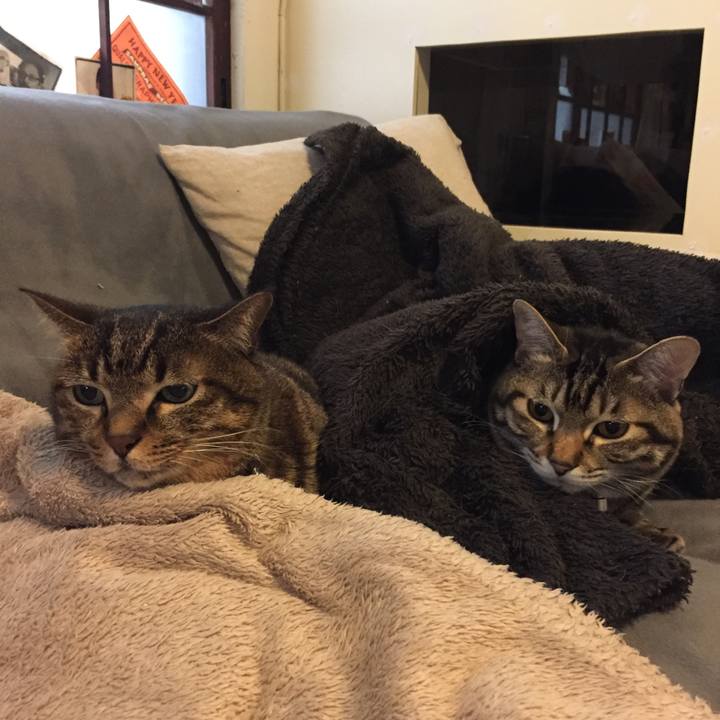 F798c544 1ca7 48c9 a452 ce41adf92d27