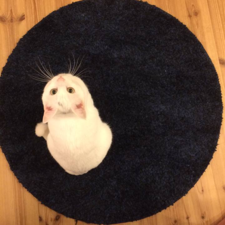 F79af642 baba 4ec1 8e13 58a2dcb9b482