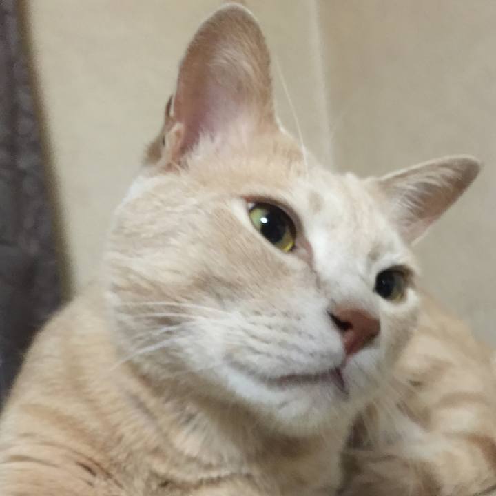 F79b9df4 05e3 49f1 a323 8038752fe4b2