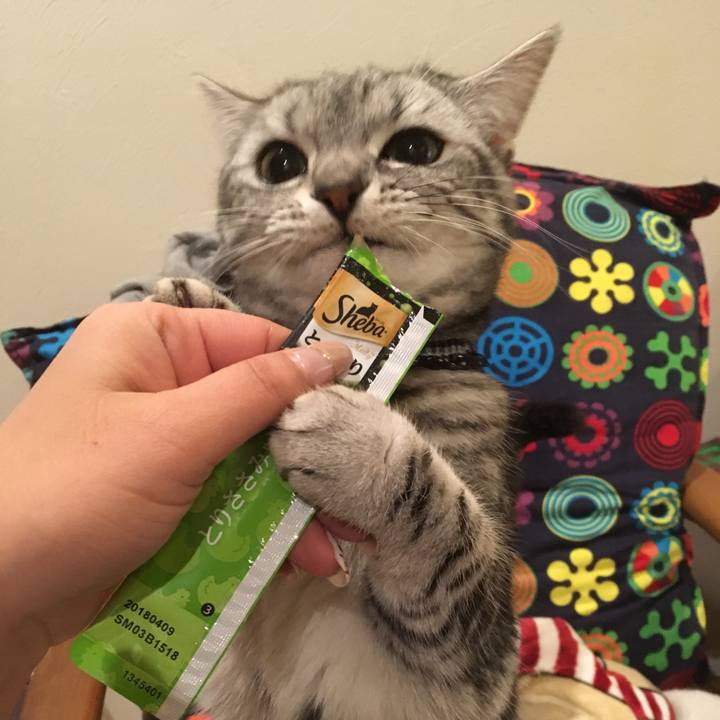 F79ccdeb ecaf 43de a727 a9f46c80b4be