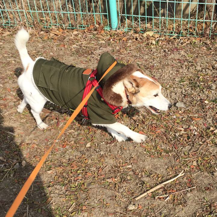 F79d03c4 0c26 4901 a824 278d3f287201