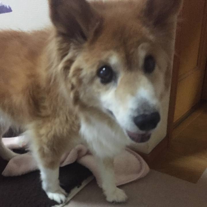 F79d5cff 7b41 41ba 88db 1df53d6d2060