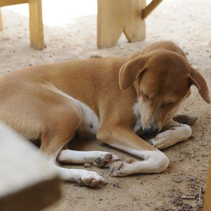 F79d9dd7 8284 4c73 b2ab 6a9c7aa7179c