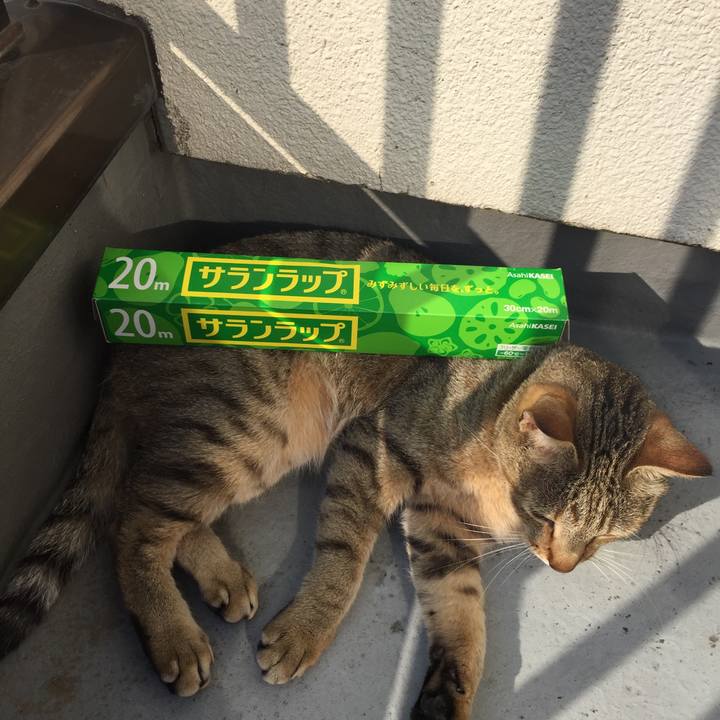 F79e13fe 6b03 4b37 b7ed 58affc24b24c