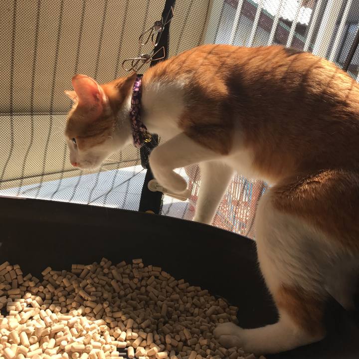 F79e88ee 6fd7 4654 a417 7830f2f56fe0