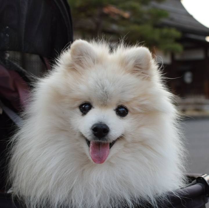 F79ee6e6 7b9d 4c17 8982 a53ddacecacf