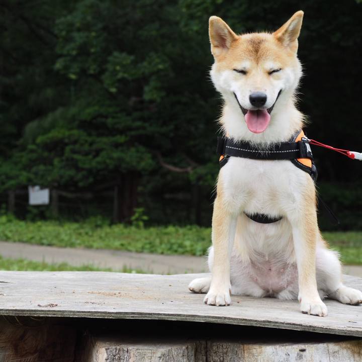 F79f108d 1f37 4695 8411 362f85b498fa