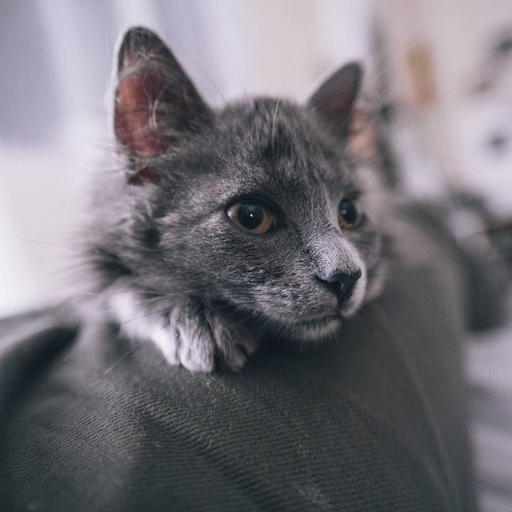 F79f684d 4605 4a22 8fee c5b2b5adf7d4