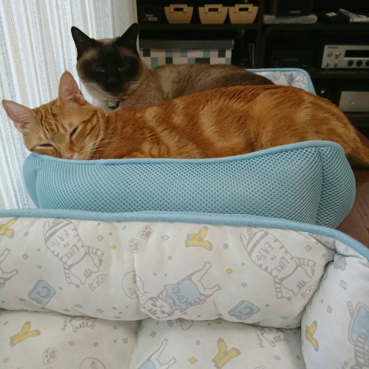 F79f723c fc0f 4f53 a034 4b1011cb4675