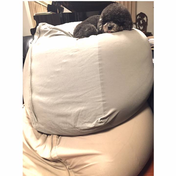 F79fed28 5f43 4ad8 92b4 b44054843eef