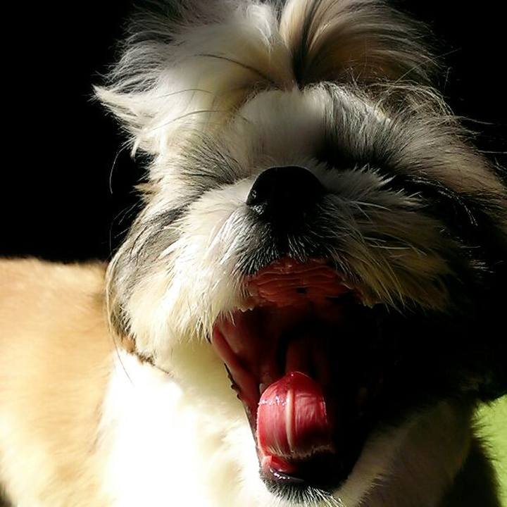 F7a01e26 da6d 4ae9 936d 43d39b2ee8c3