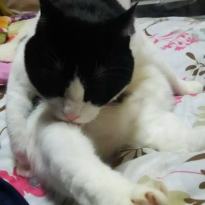 F7a03ed7 2c83 4198 b63b 5b6959f2dd60