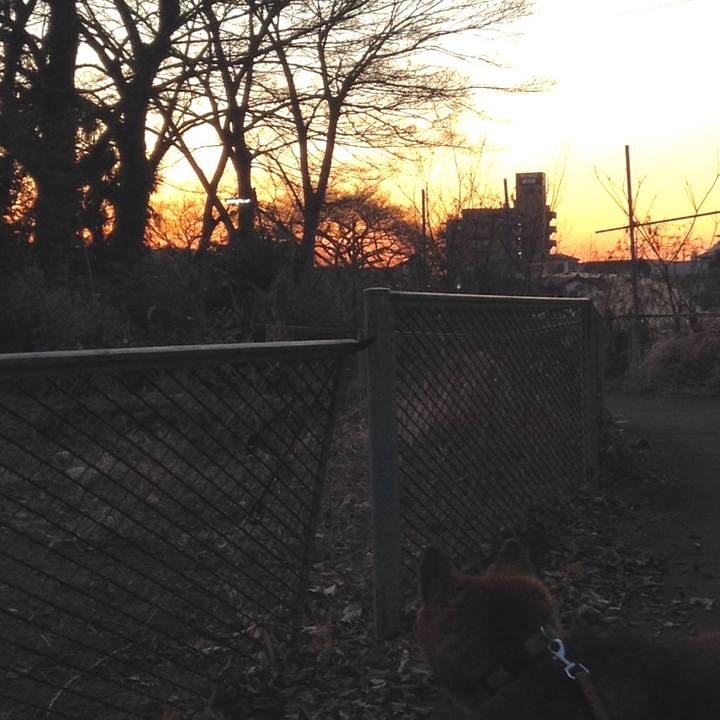 F7a09559 9b6f 4d29 ad7e a108526b9c8b