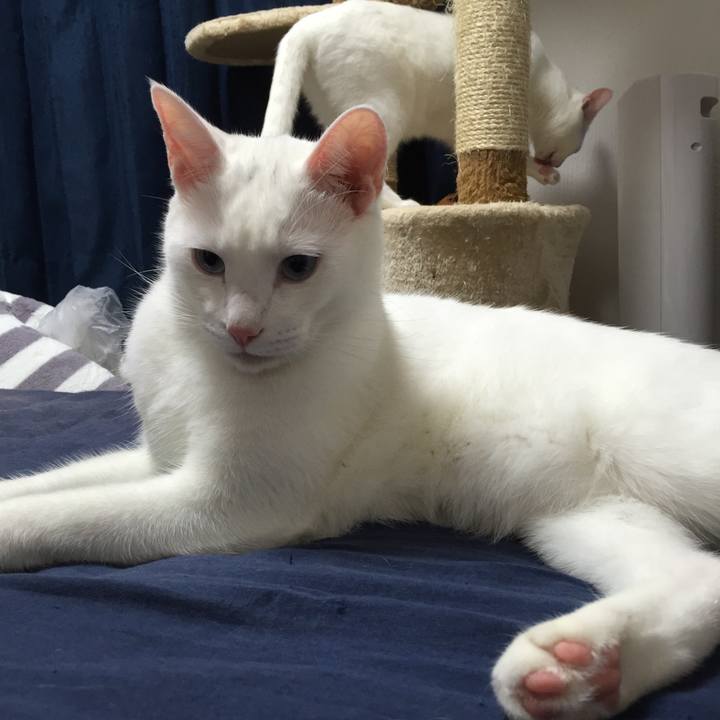 F7a0ccea a0f6 4ab3 8919 b1d79080c805