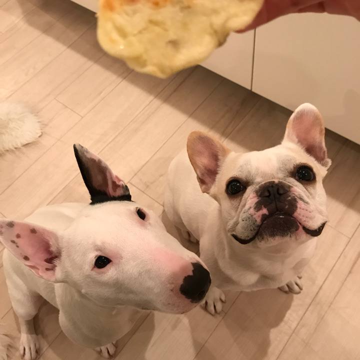 F7a139d2 76a9 4675 84fb e4f75d68c475