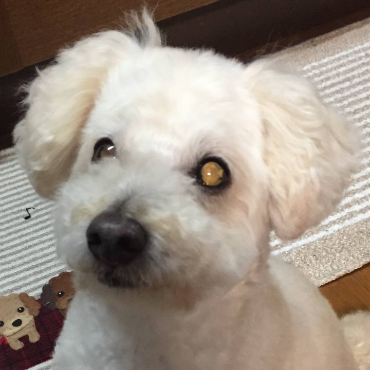 F7a1a67a 2bcf 4c80 afb3 f47035a71dbb