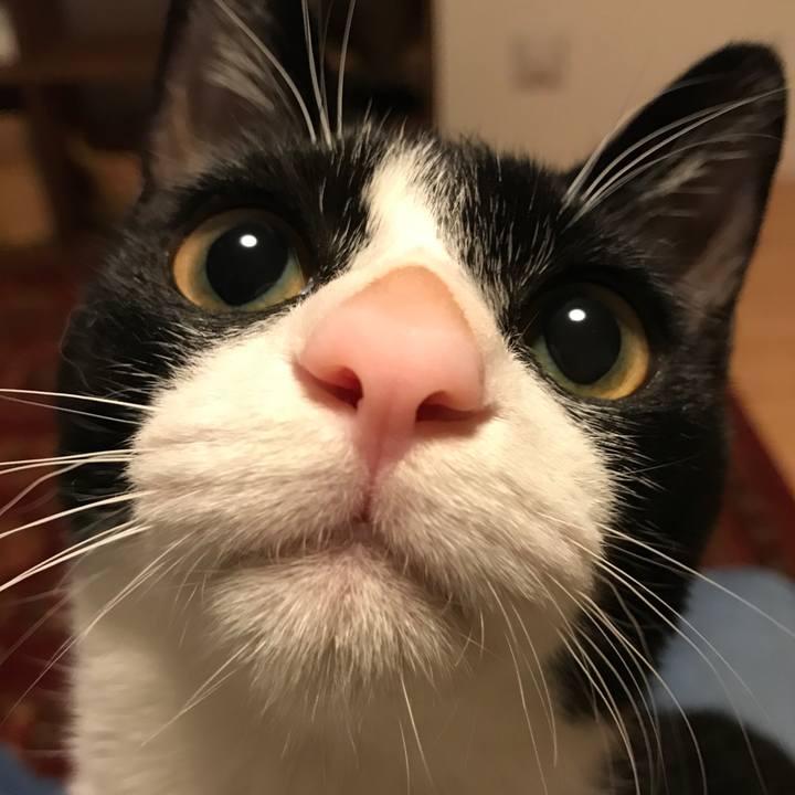 F7a1f024 a506 4075 9b32 a12968c09b0d