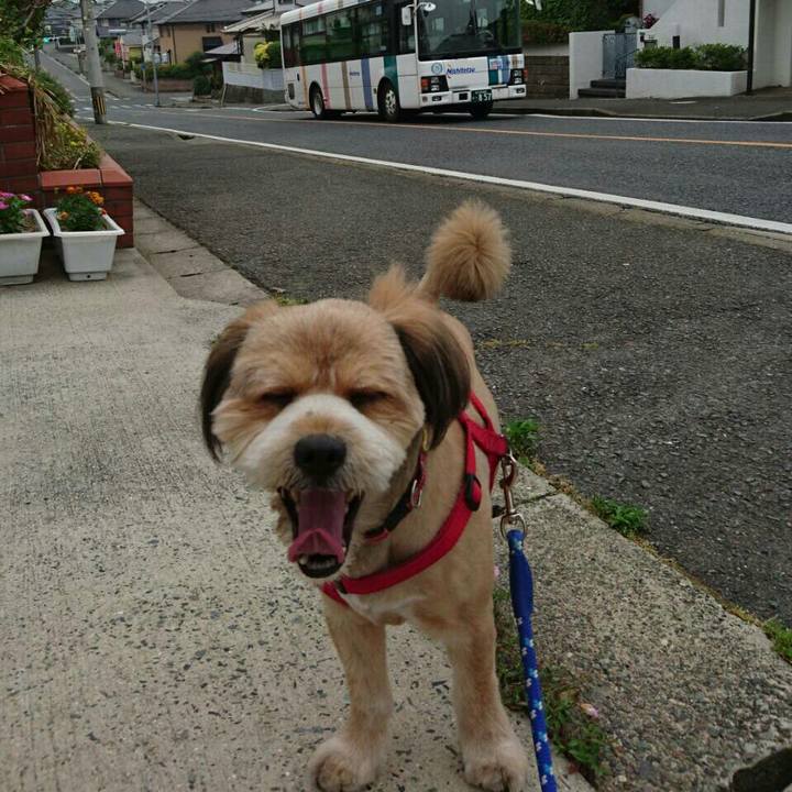 F7a29550 8092 4d2e 9fdb 1c9fdf699228