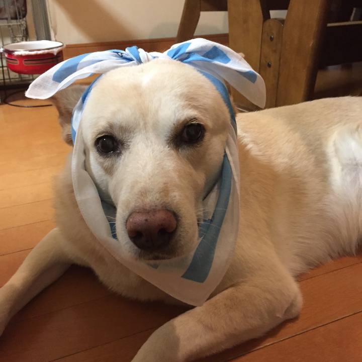 F7a3075c b5a2 41dc 9e50 0174df8119b0