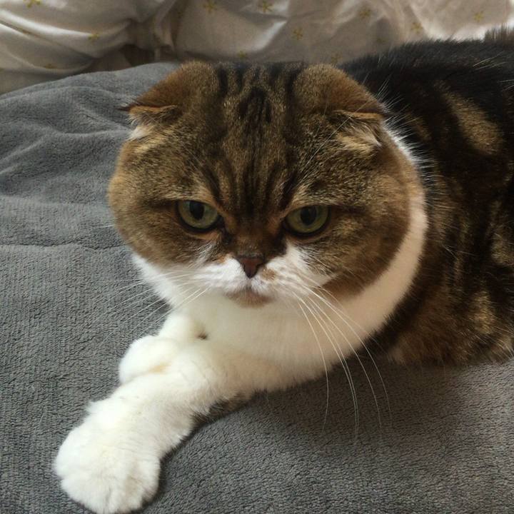 F7a312ca 187b 4971 bf51 1a0d1cee8987