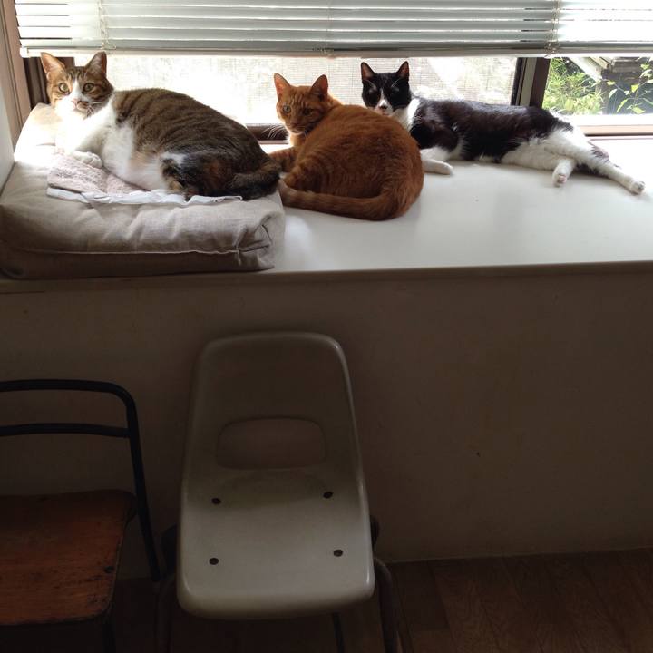 F7a45432 5051 4ca7 bcd6 38ff90ae6917