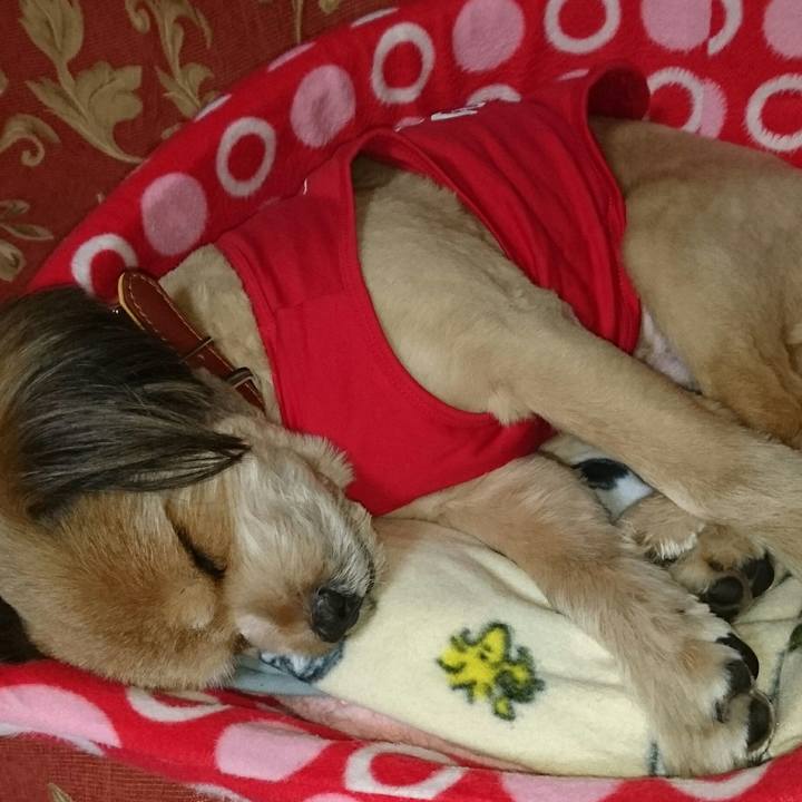 F7a475ea 52a3 430f 8cbc 3037fd1975d8