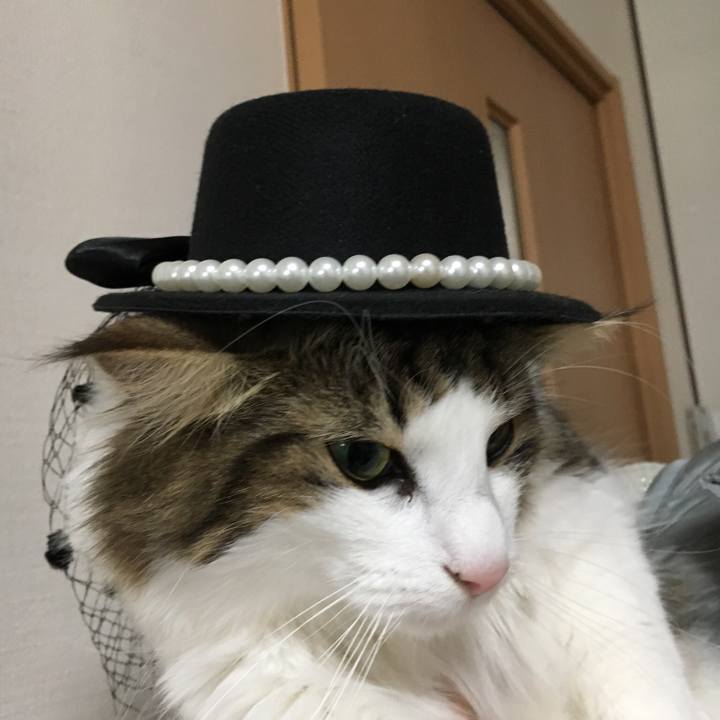 F7a69b93 cad8 46ec bbc4 369a6c6c2344