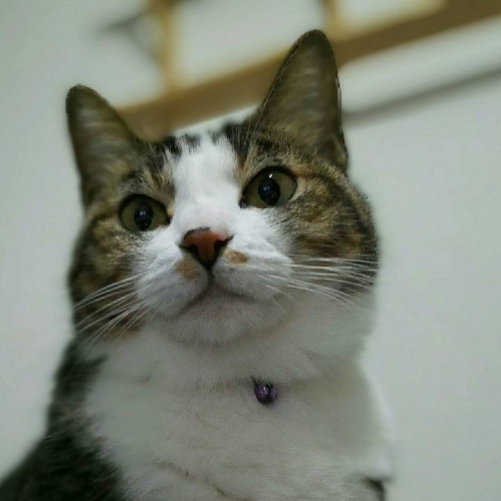 F7a6d3a4 b9a3 4701 b3c4 6bc0d9927928