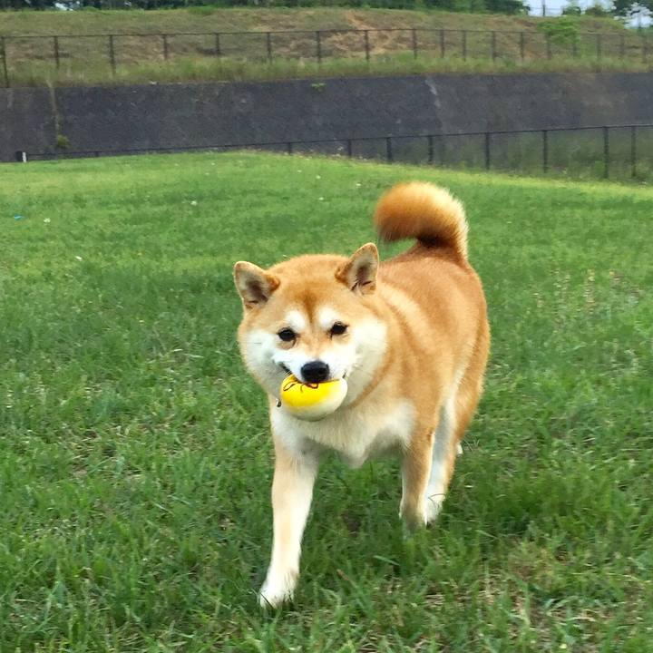 F7a76d85 e95a 45f0 b21f f8539a3f5b7f