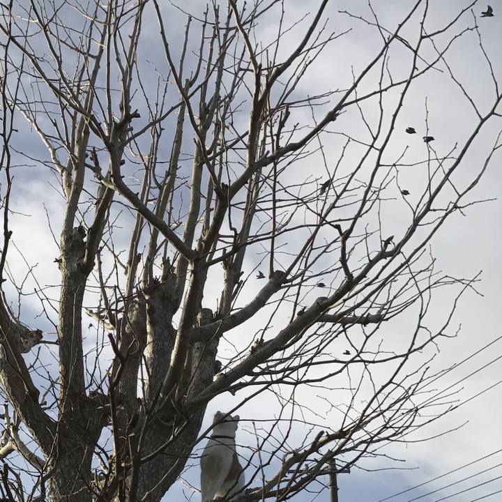 F7a7b87e 7e06 43b1 953b 3adb69075fbf