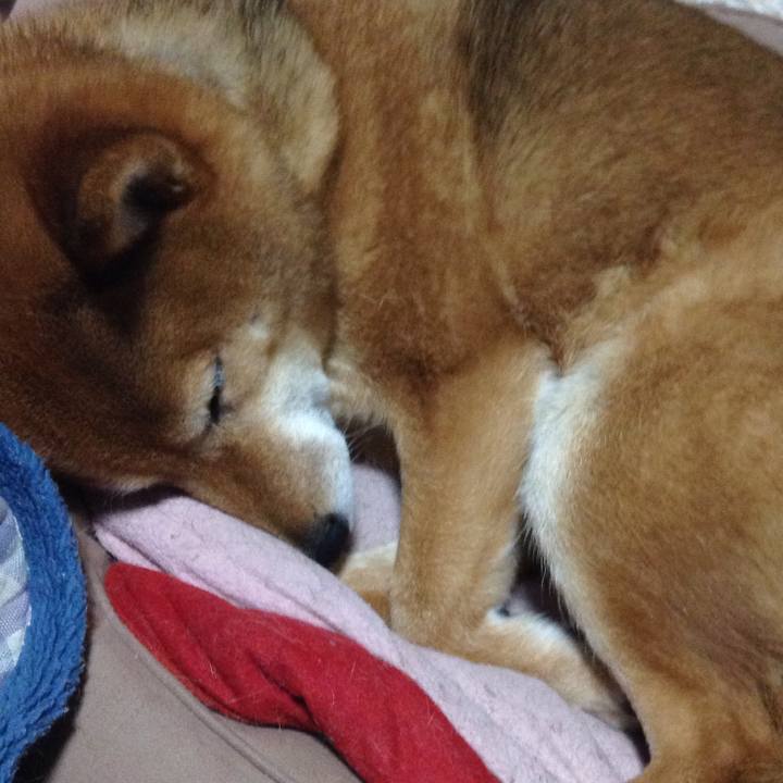 F7a7d62b 7368 4aa2 be1b f302f99be6a3