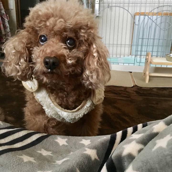 F7a7fe18 93a1 4d87 a3f7 2371fb5bd129