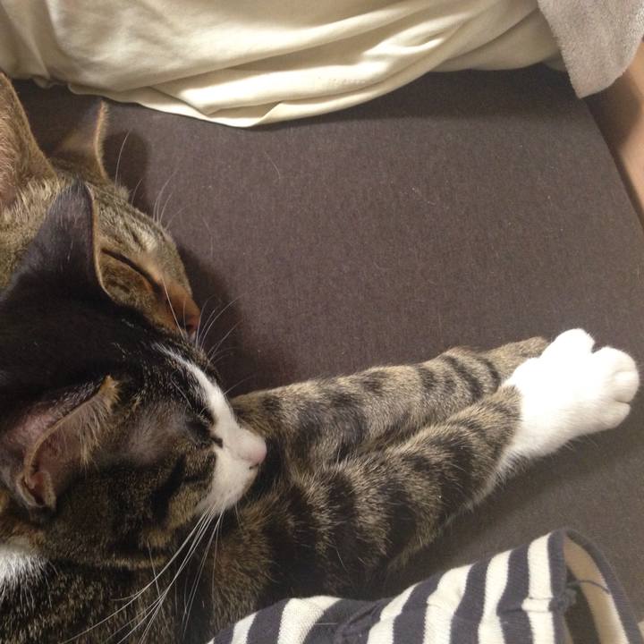 F7a83d07 b0f5 4a73 b4bf 585d212e8c31