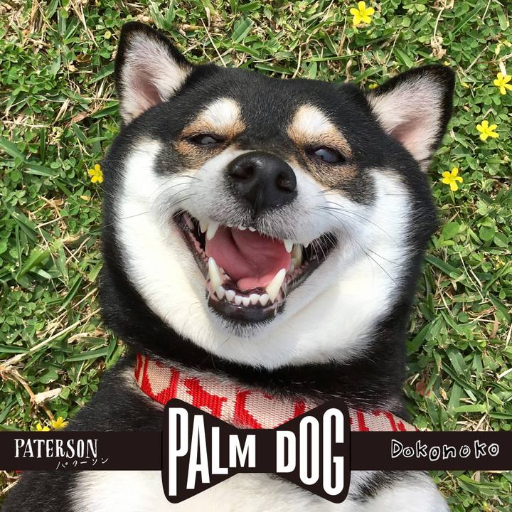 F7a8b367 5be1 42cd b353 32aae73d89a6