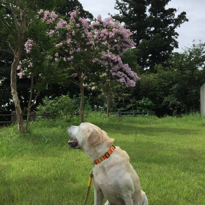 F7aab2f3 9c5e 433f bf73 9d9c1b7839c4