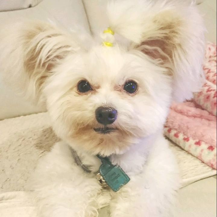 F7aaf12c 44c9 46c0 a768 04f4a193bc92