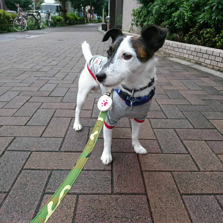 F7ab1a7f ad70 4048 8e82 9295e30ce7fb