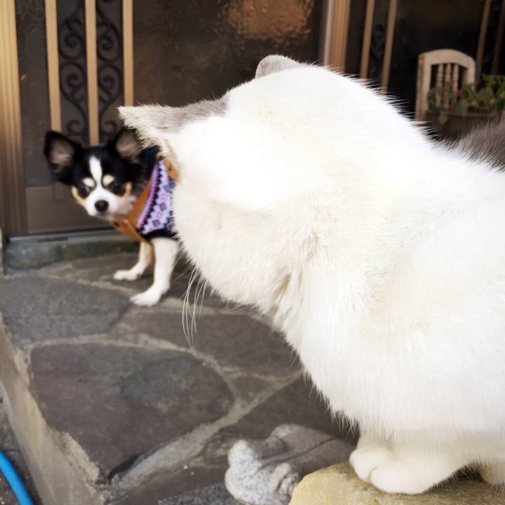 F7ab5f5b b90f 4eb5 9168 f5eeb19ce172