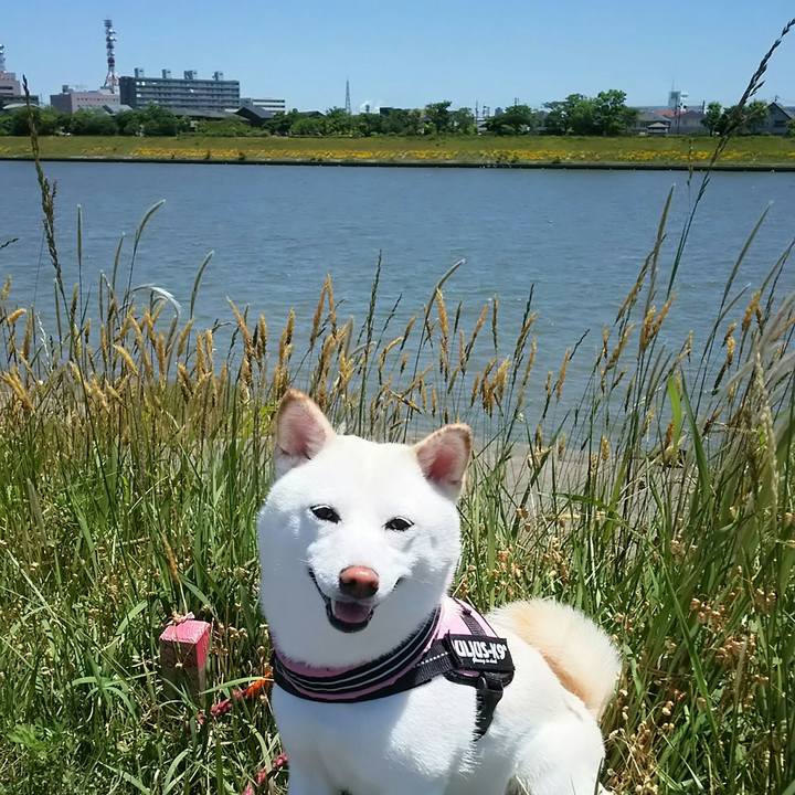 F7ab7807 aebc 4539 8a7a b4efea3085eb