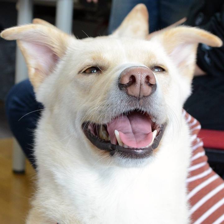 F7abdfa6 4a87 48e7 a5f3 d17429139361