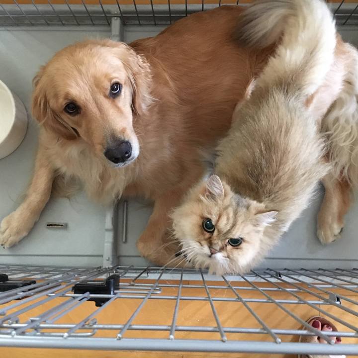 F7ac5fc8 7f44 46fa b266 2862ff02953f