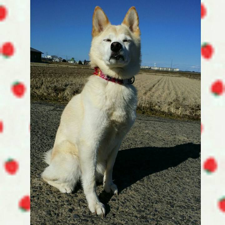 F7accd42 43fa 4142 98b1 e8f42c6a4ed9