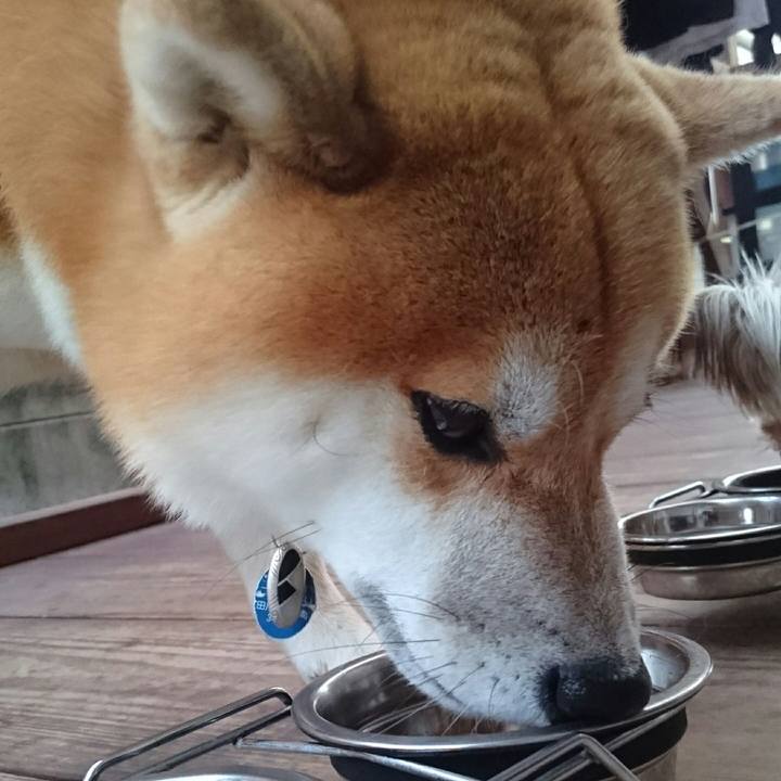 F7ad5f52 fb97 4200 ab95 ea9d14b8b66f