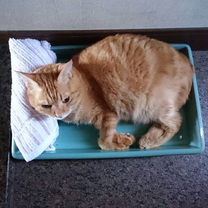 F7ad9459 1725 4d33 a76a 79c7305e34d1